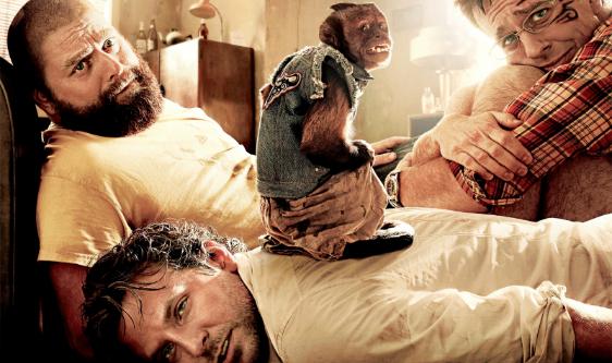 Plagued by Predictability, The Hangover II Disappoints