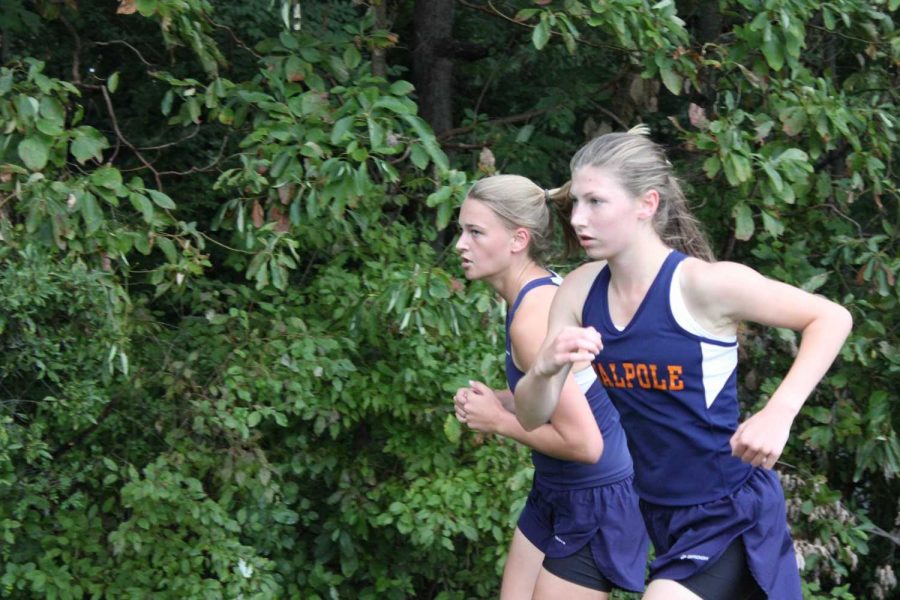 Girls Cross Country team suffers loss against Brookline, beats Norwood
