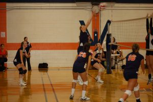 Volleyball Offense Sets up a Hit