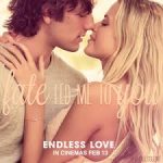 "Endless Love" is expected to be popular in theaters this Valentine's Day.
