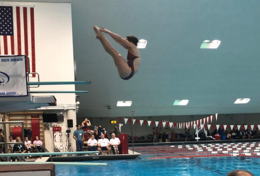 Freshman Diver Amanda Melish is a State Champion and School Record Holder