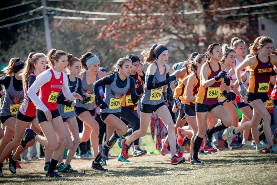 Cross Country Places Second at Division 3 Championships