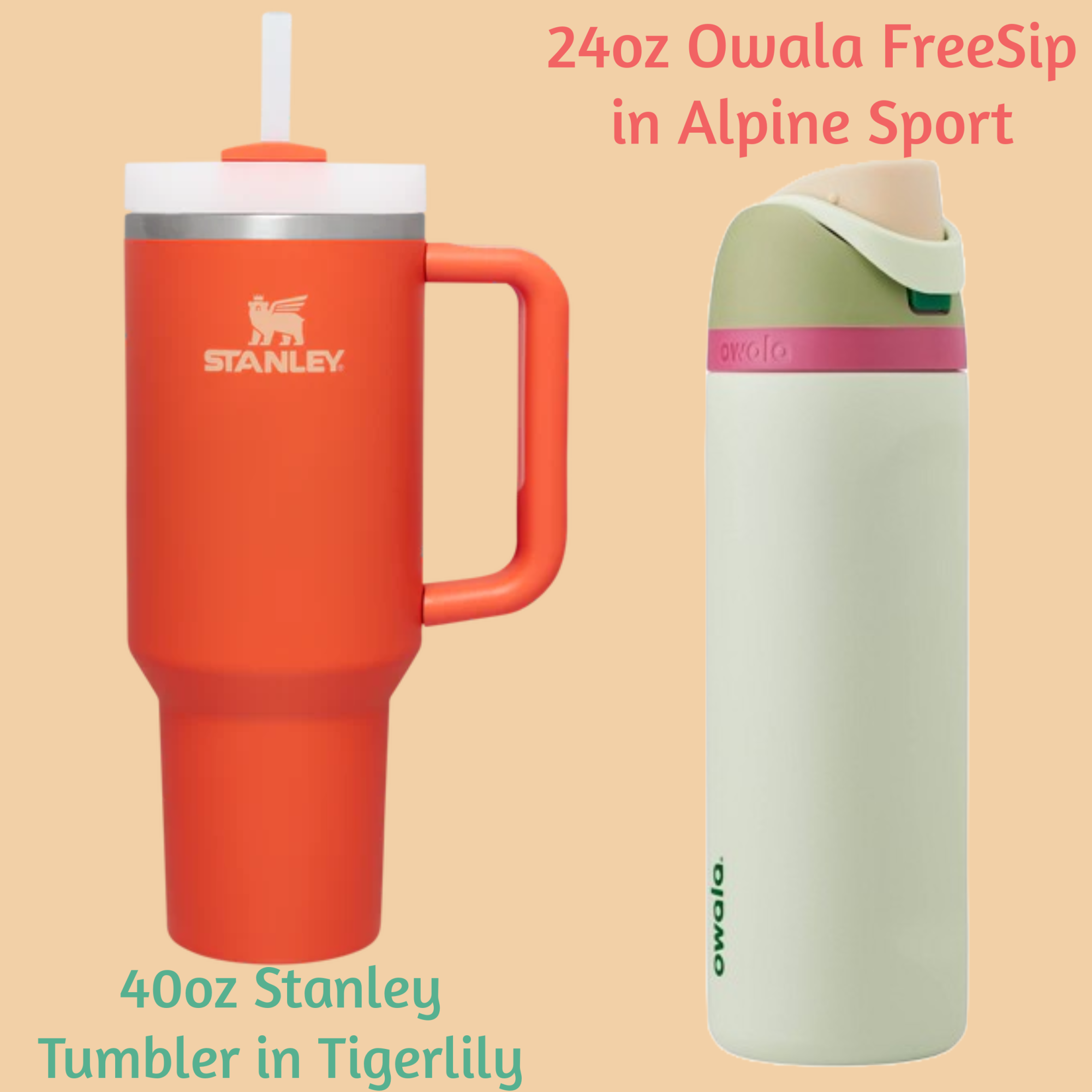 Stanley and Owala Water Bottles: Whats the Difference?