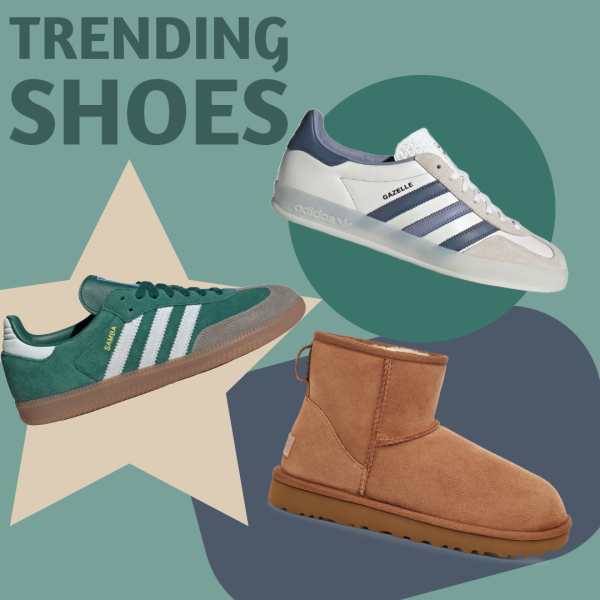 Teenage Girls are Influenced by Shoe Trends