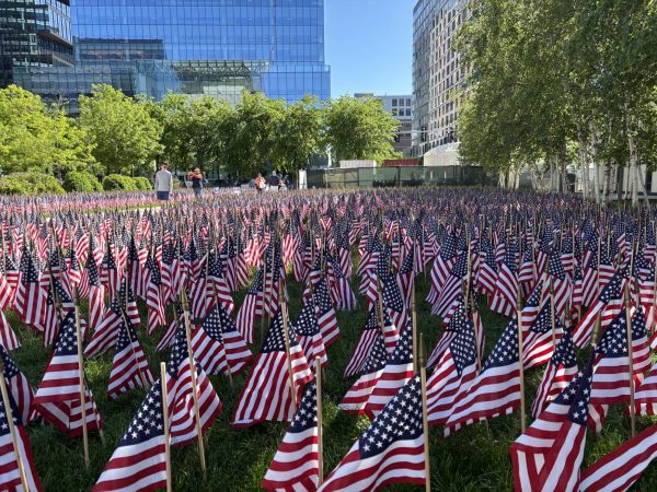 Flags Placed in Boston Common to Honor Fallen Soldiers