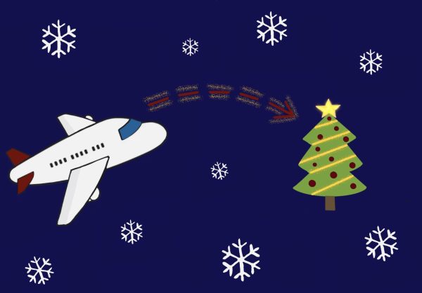 Best Places to Visit During the Christmas Season