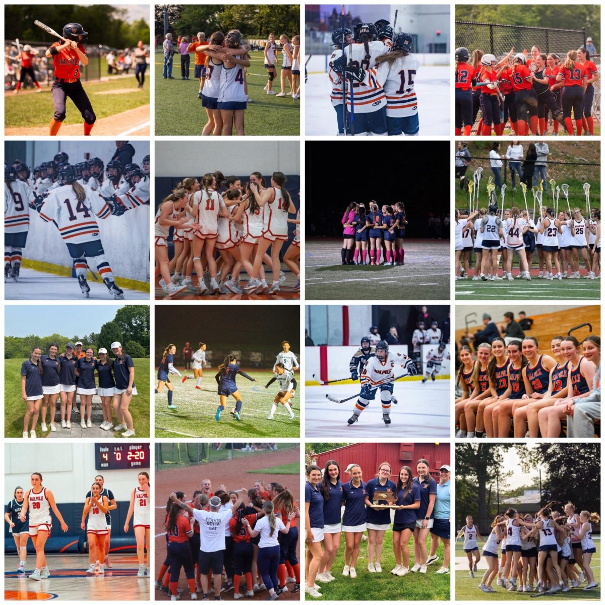 Female Sports Are Underappreciated at WHS