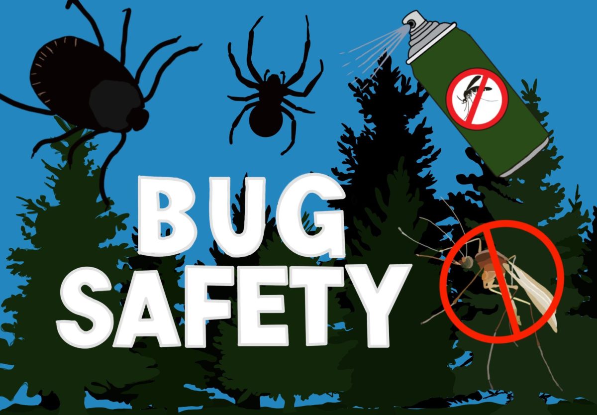 The Importance of Bug Safety